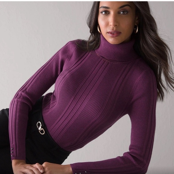 Ribbed Turtleneck in Empire Plum - Picture 1 of 6